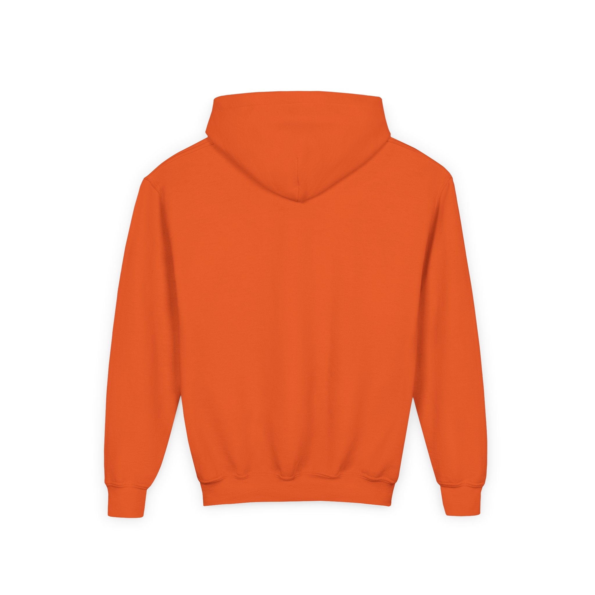 Youth Hoodie (most recommended)- small chest logo