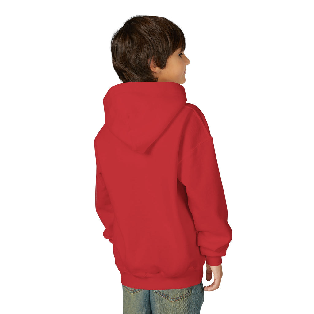 Youth Hoodie (most recommended)- small chest logo