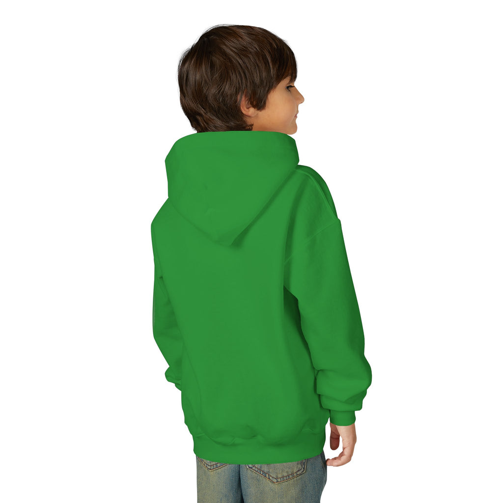 Youth Hoodie (most recommended)- small chest logo