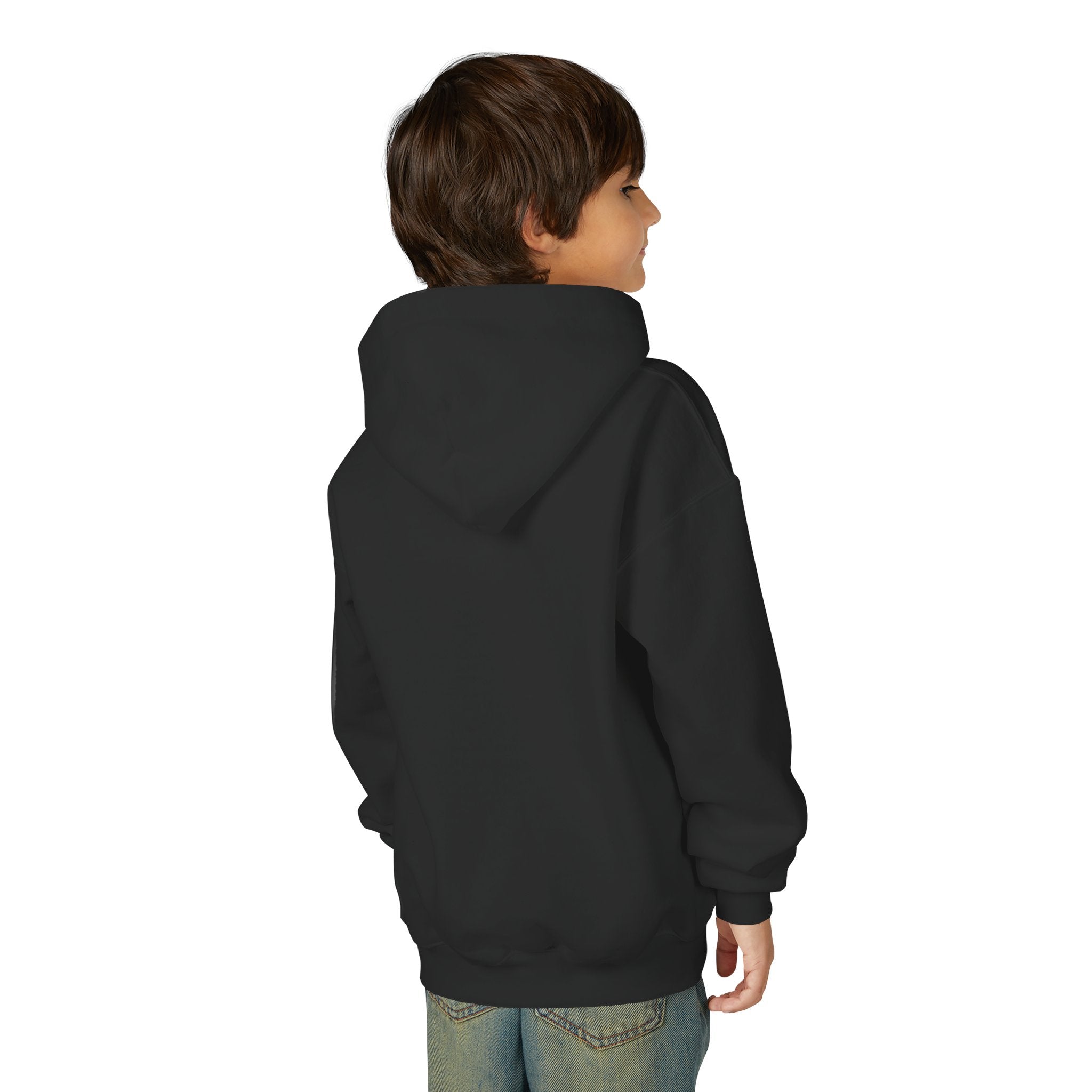 Youth Hoodie (most recommended)- small chest logo