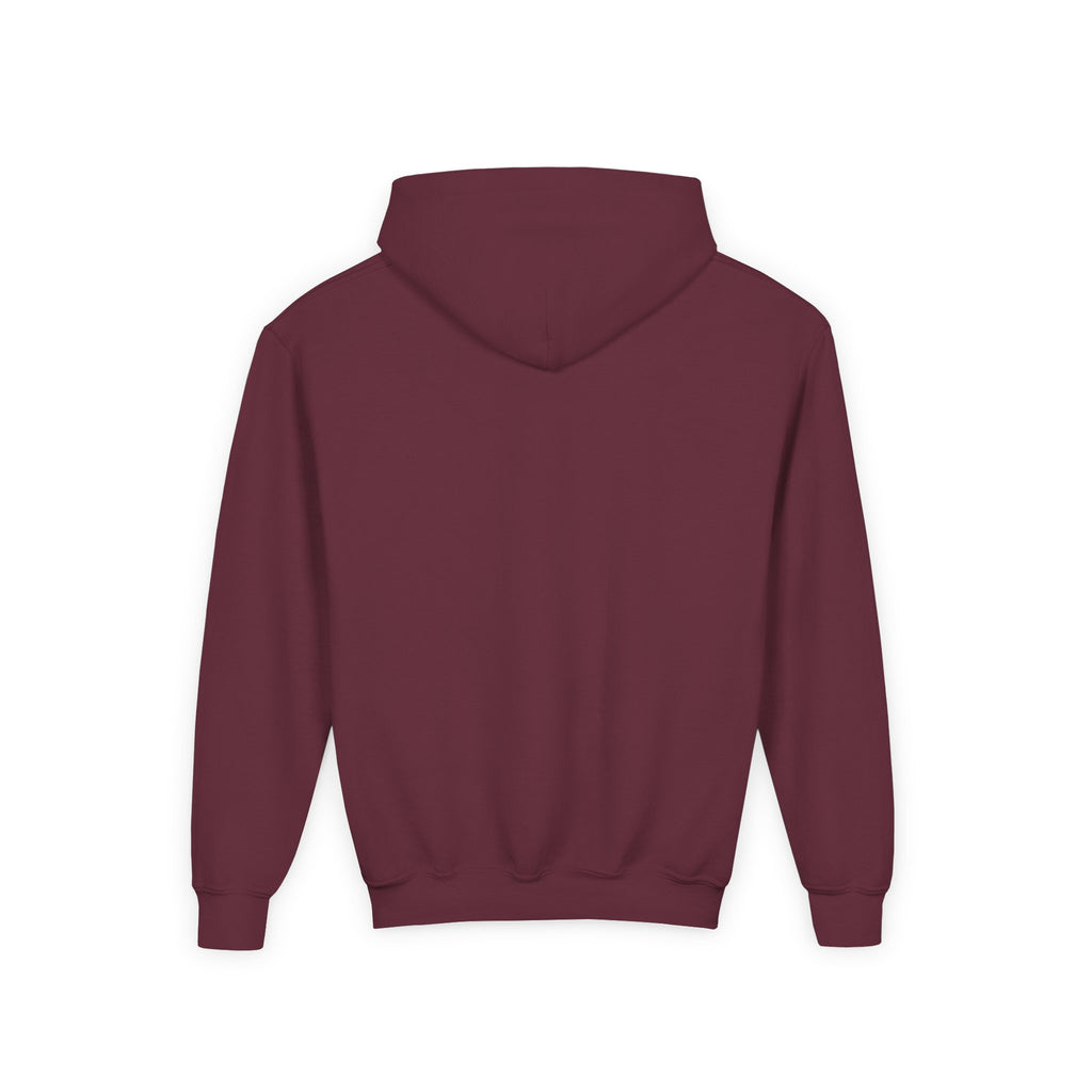 Youth Hoodie (most recommended)- small chest logo