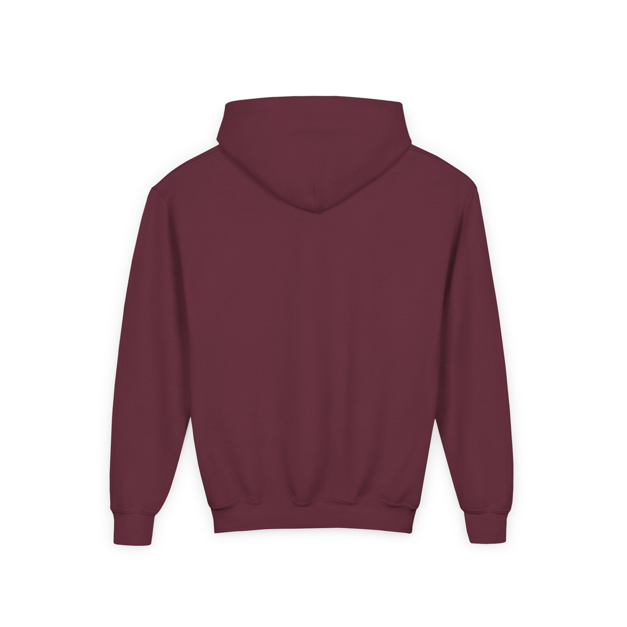 Youth Hoodie (most recommended)- small chest logo