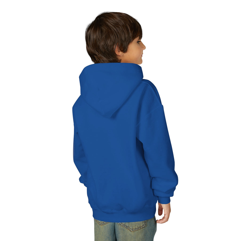 Youth Hoodie (most recommended)- small chest logo