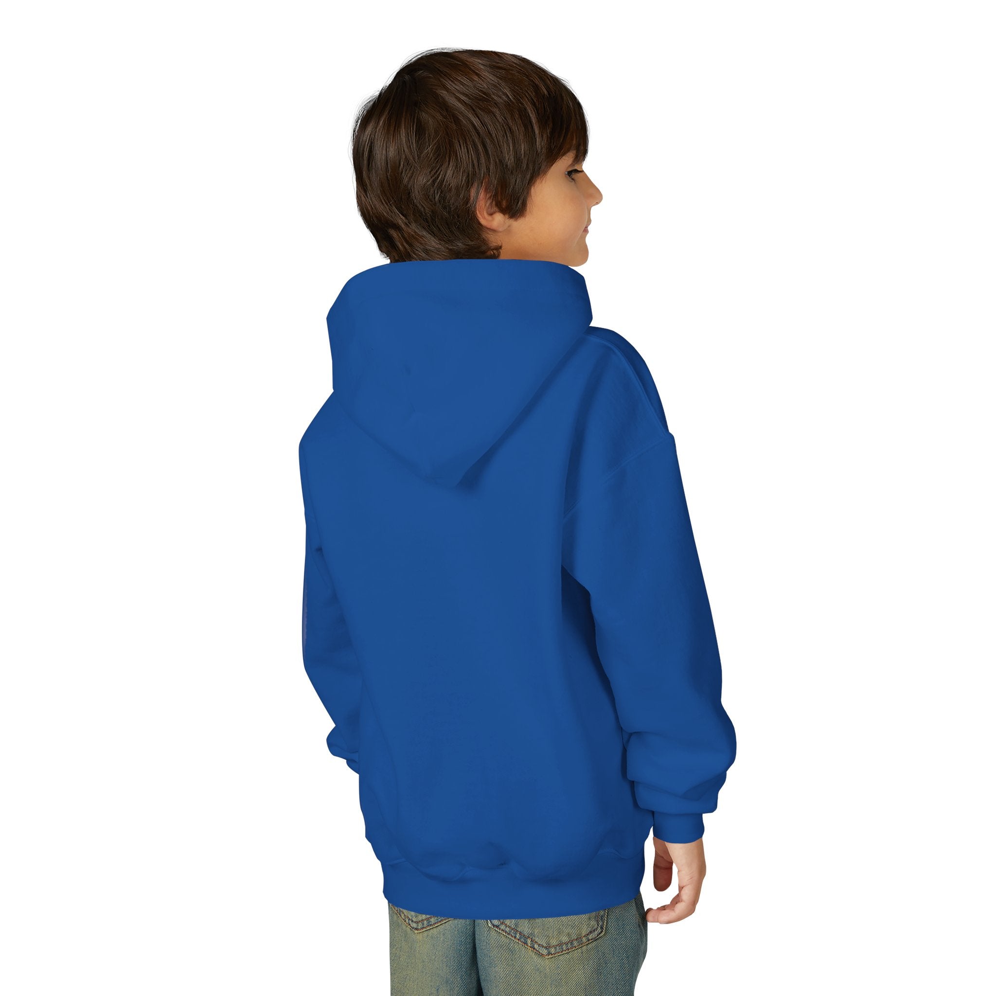Youth Hoodie (most recommended)- small chest logo