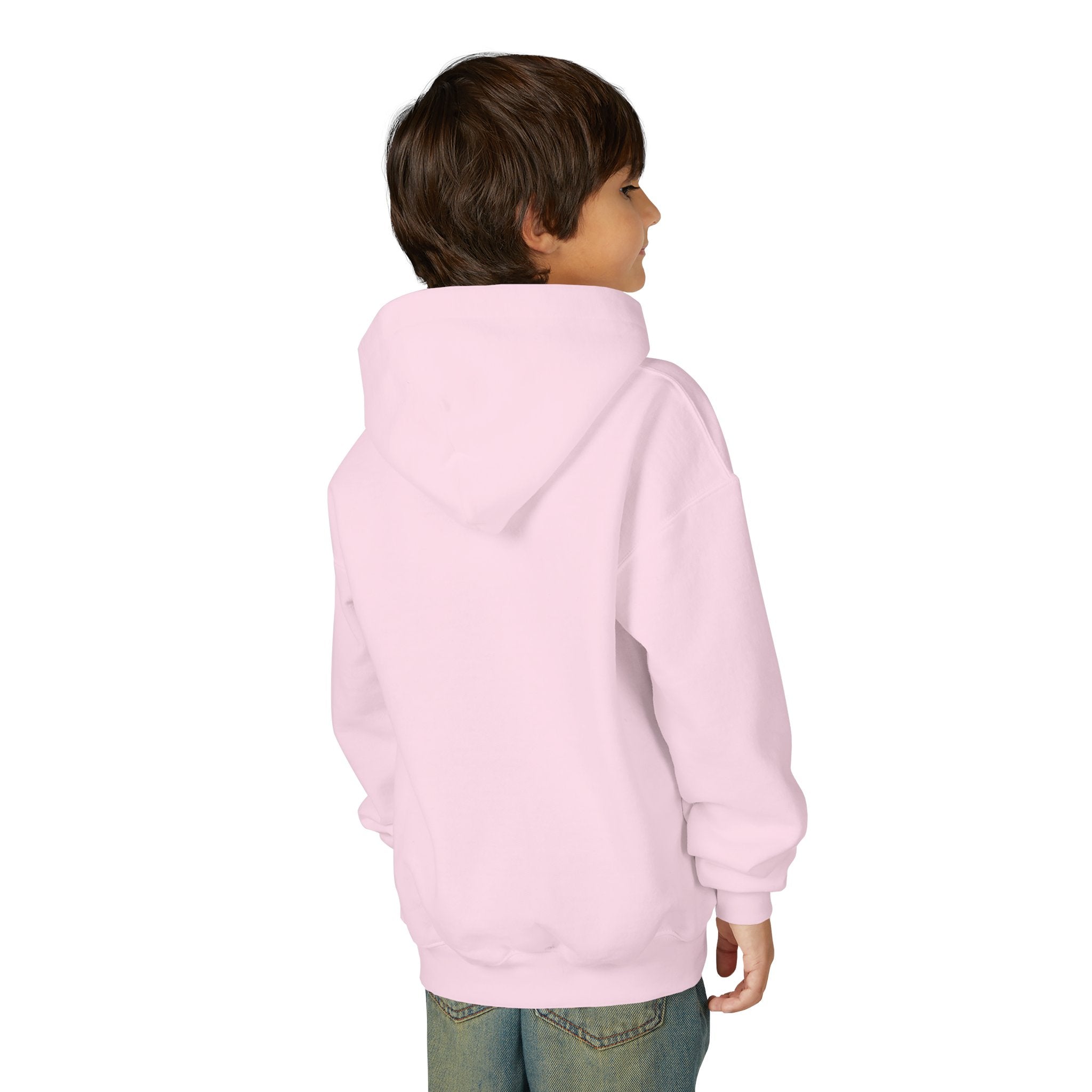 Youth Hoodie (most recommended)- small chest logo