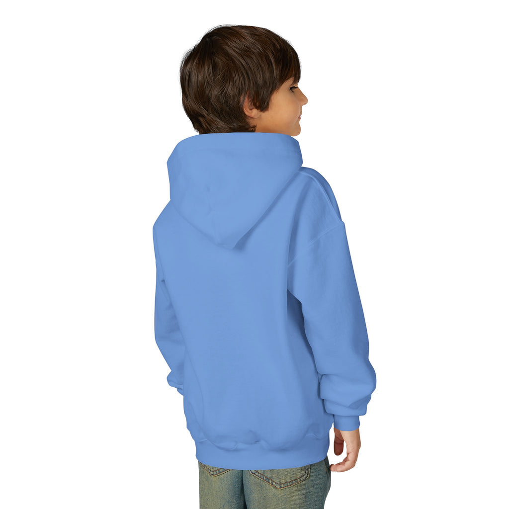 Youth Hoodie (most recommended)- small chest logo
