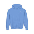 Youth Hoodie (most recommended)- small chest logo