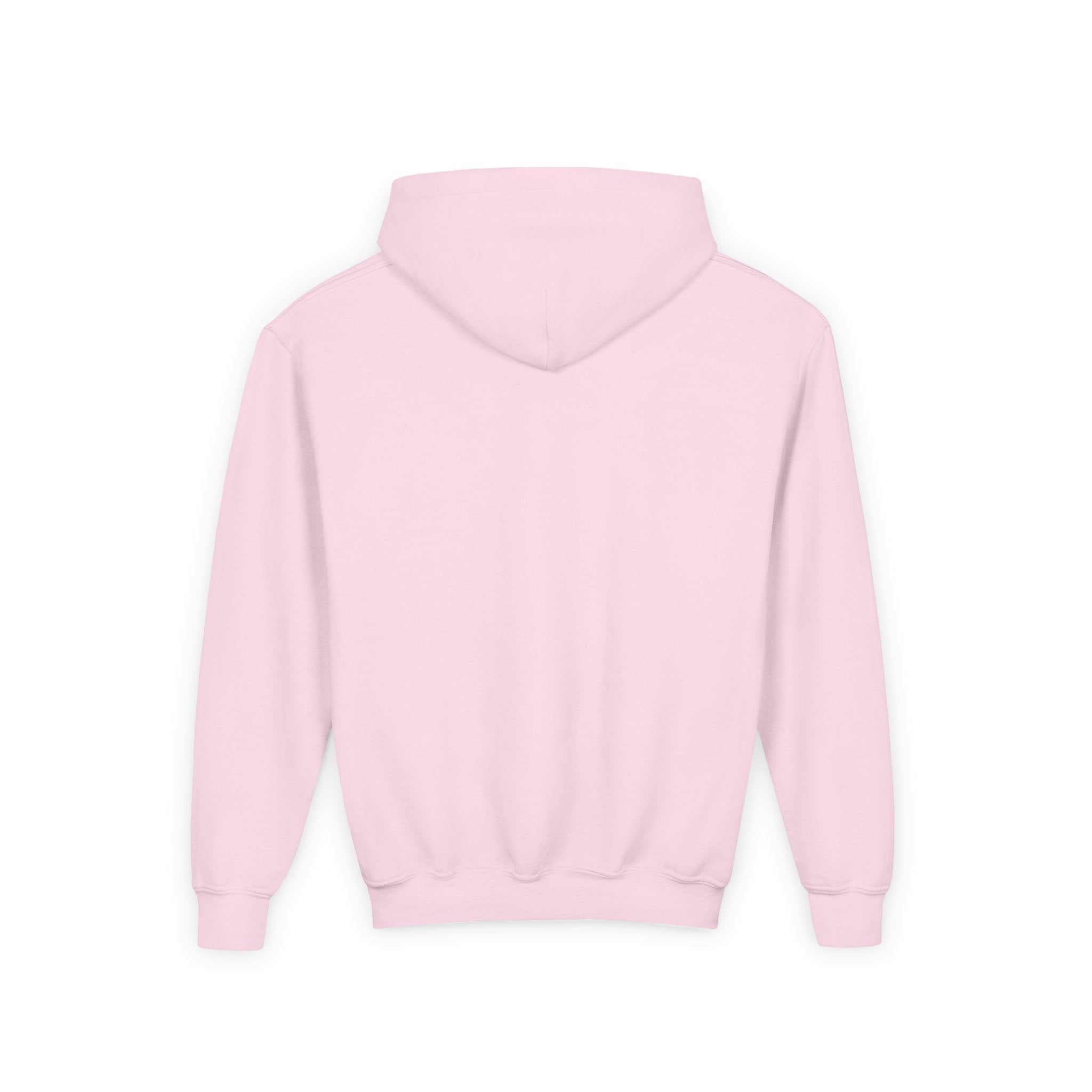 Youth Hoodie (most recommended)- small chest logo