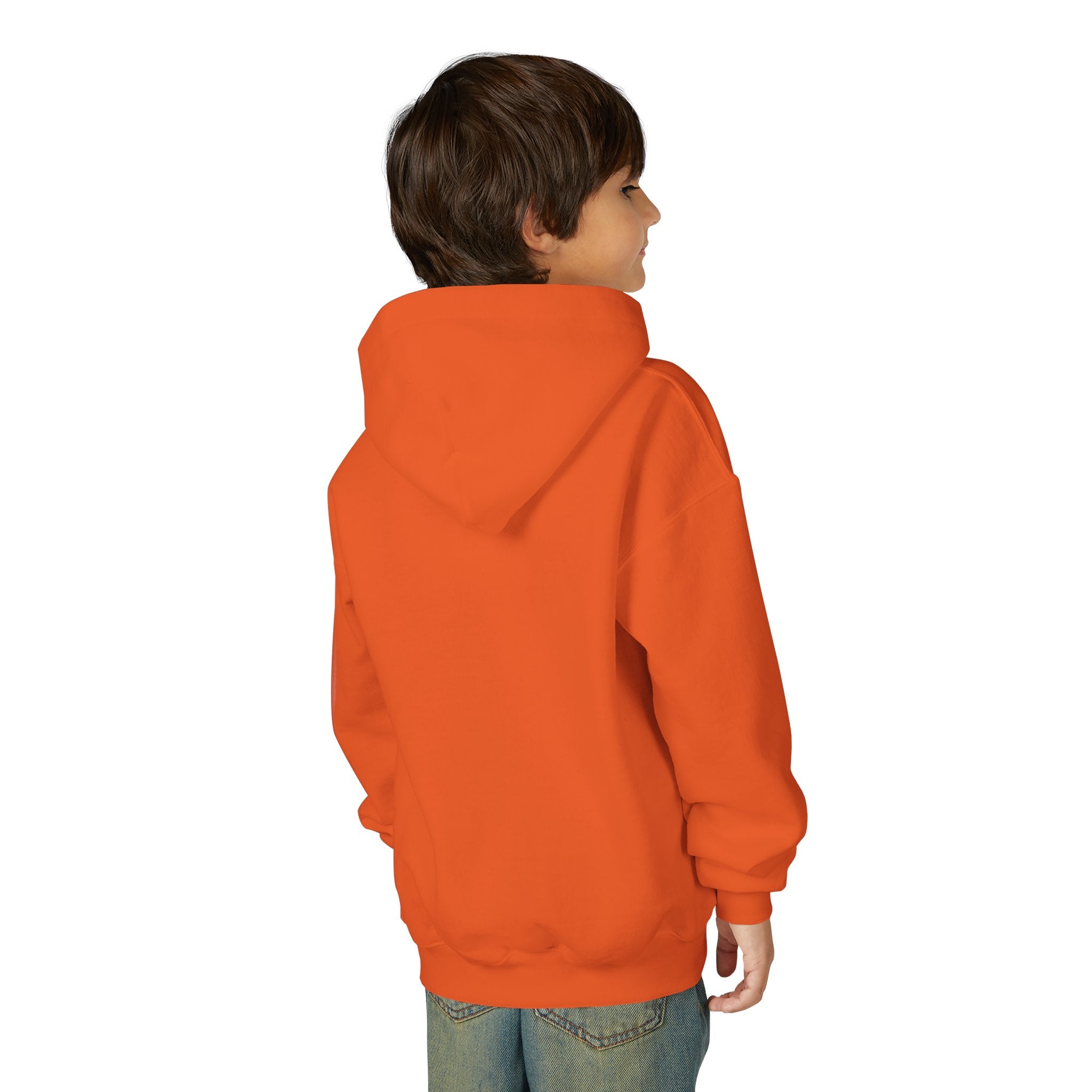 Youth Hoodie (most recommended)- small chest logo