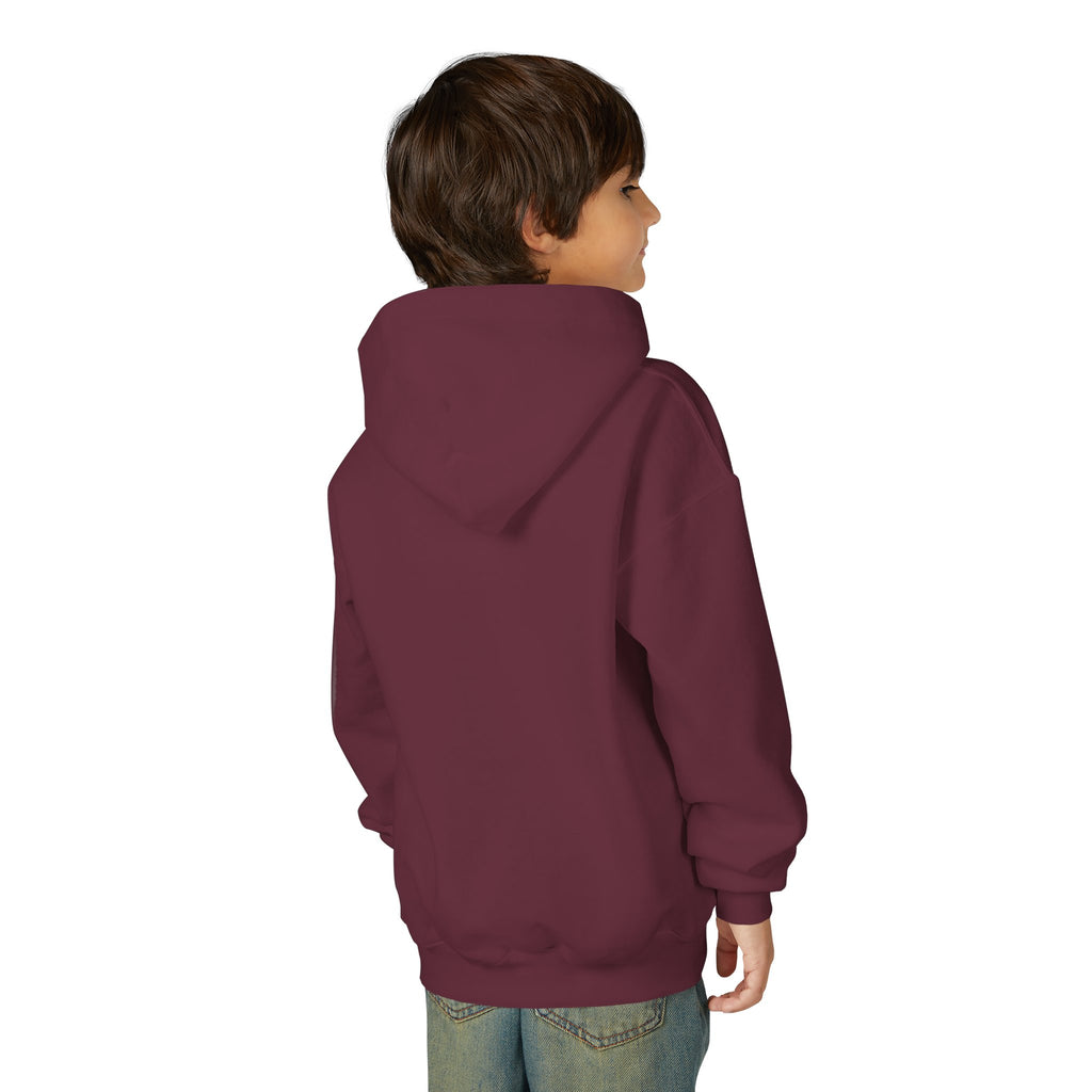 Youth Hoodie (most recommended)- small chest logo