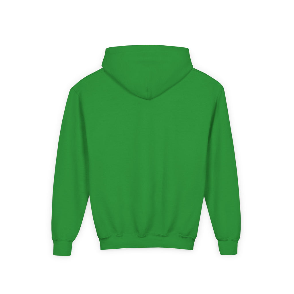 Youth Hoodie (most recommended)- small chest logo