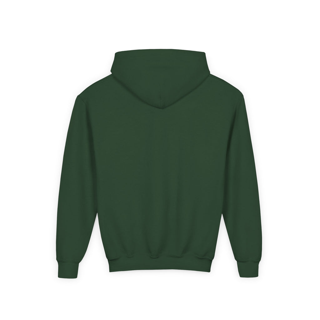 Youth Hoodie (most recommended)- small chest logo