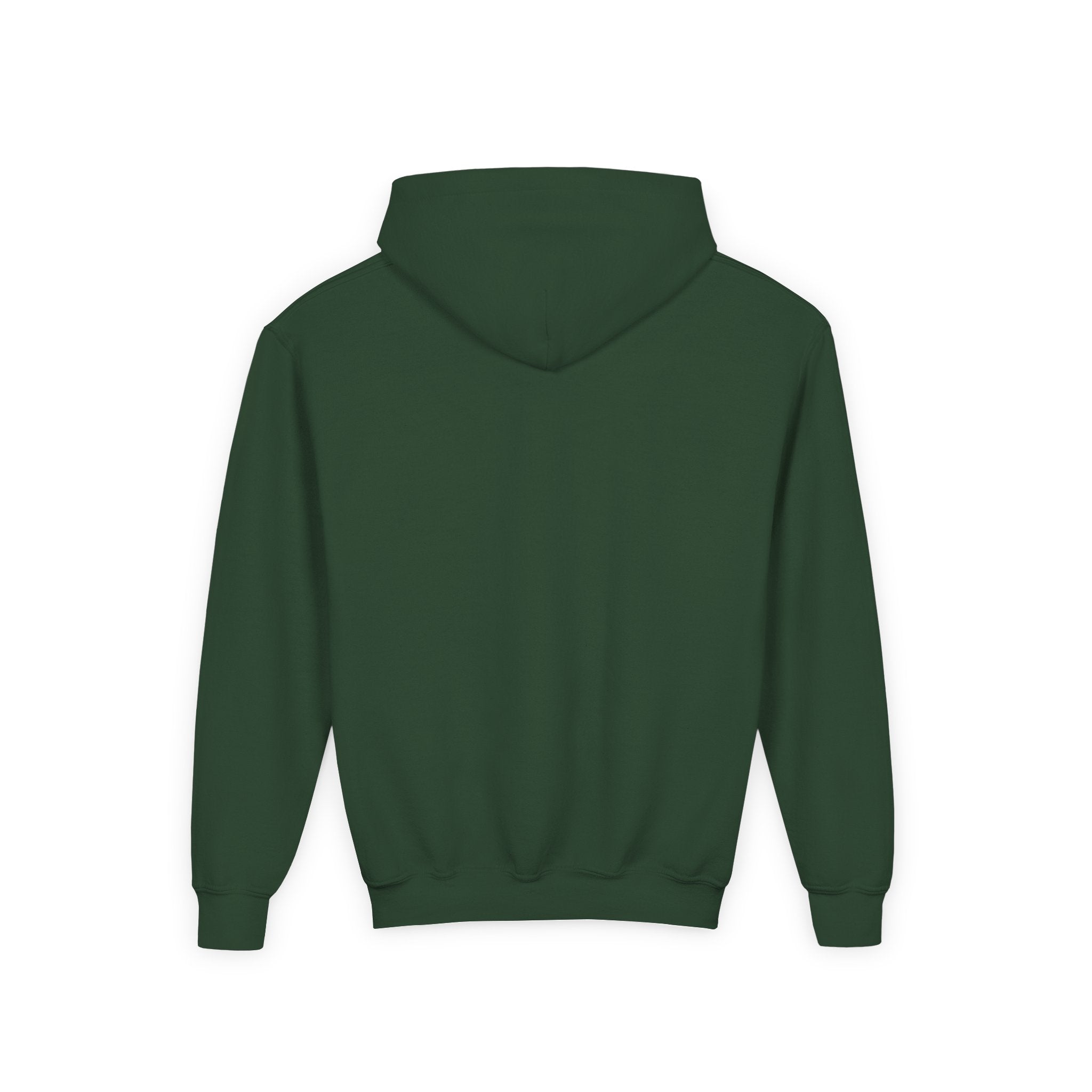 Youth Hoodie (most recommended)- small chest logo
