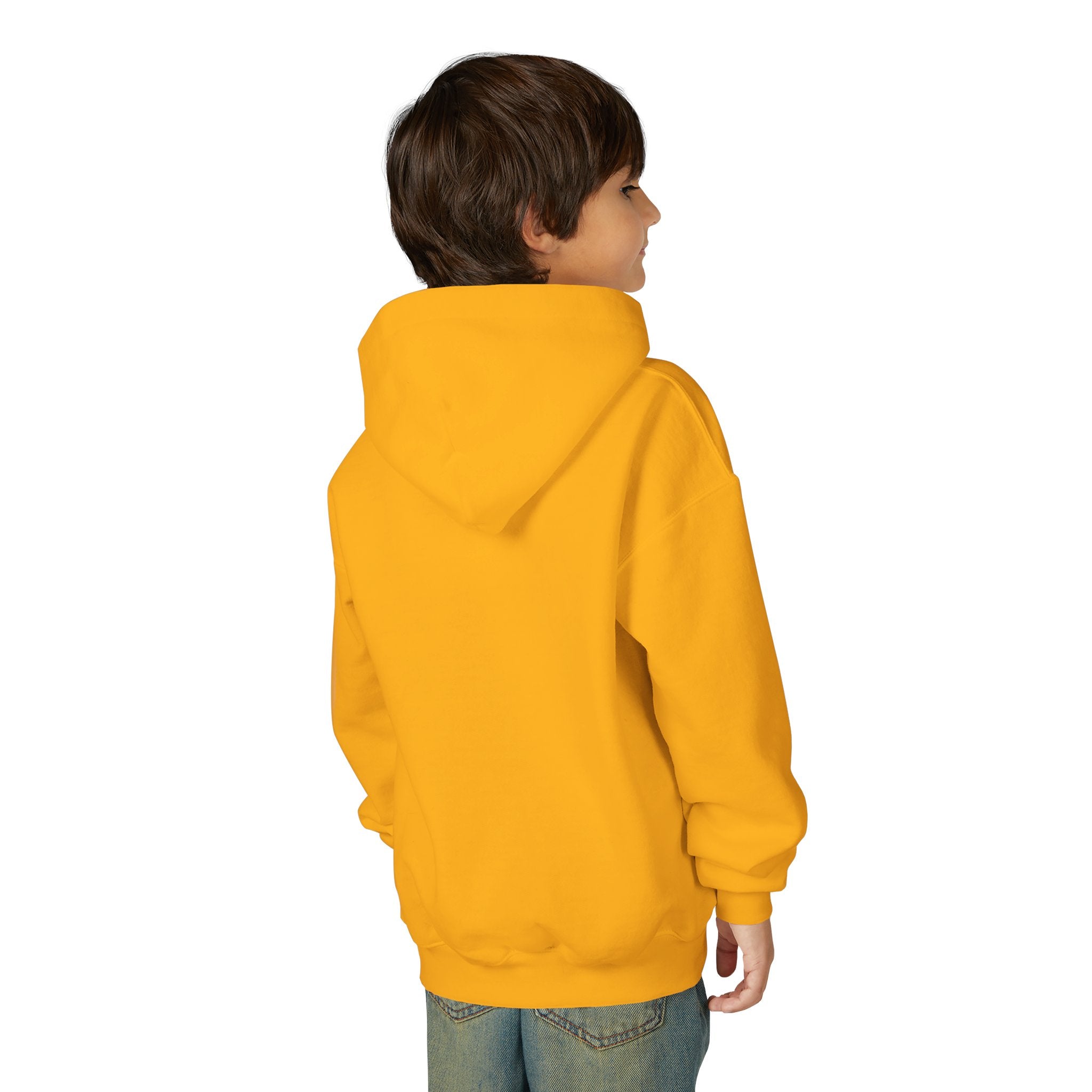 Youth Hoodie (most recommended)- small chest logo