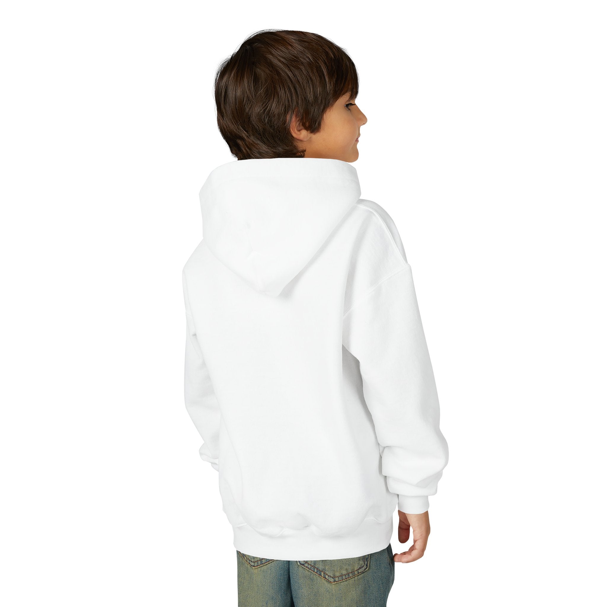 Youth Hoodie (most recommended)- small chest logo