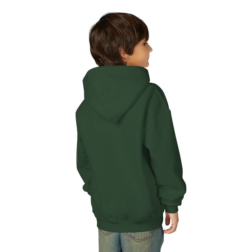 Youth Hoodie (most recommended)- small chest logo