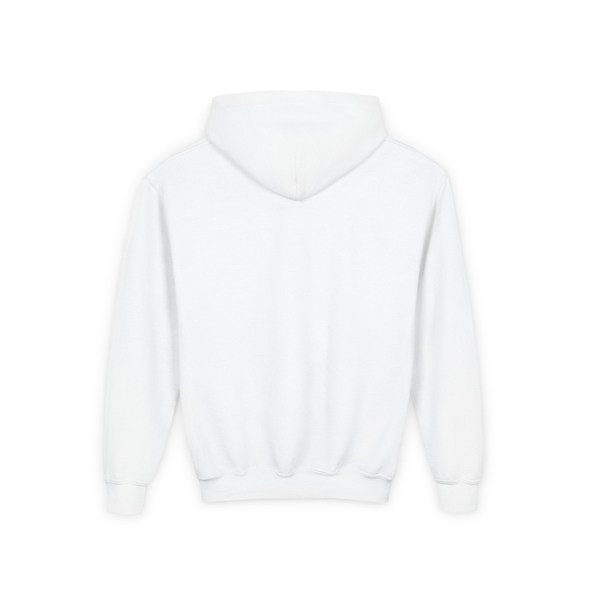 Youth Hoodie (most recommended)- small chest logo