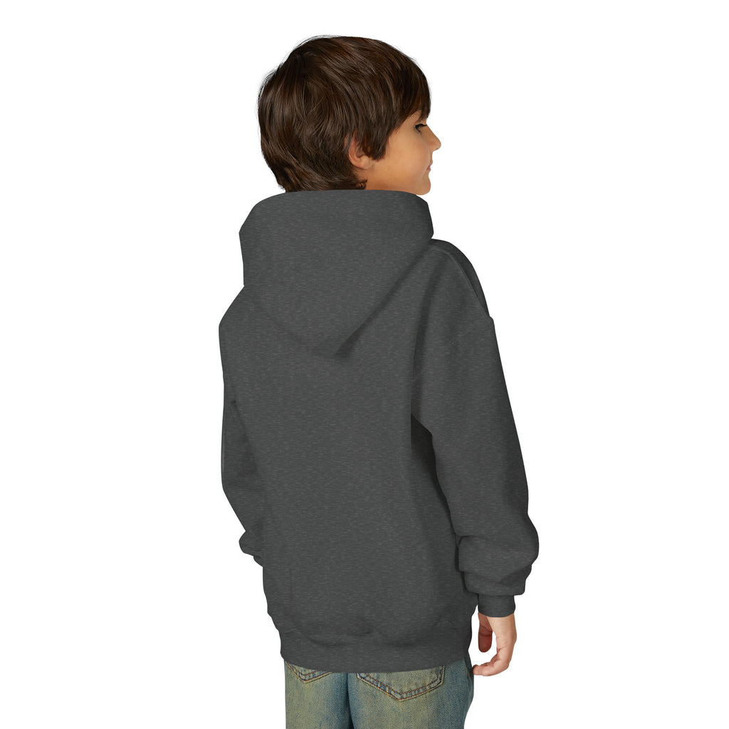 Youth Hoodie (most recommended)- small chest logo