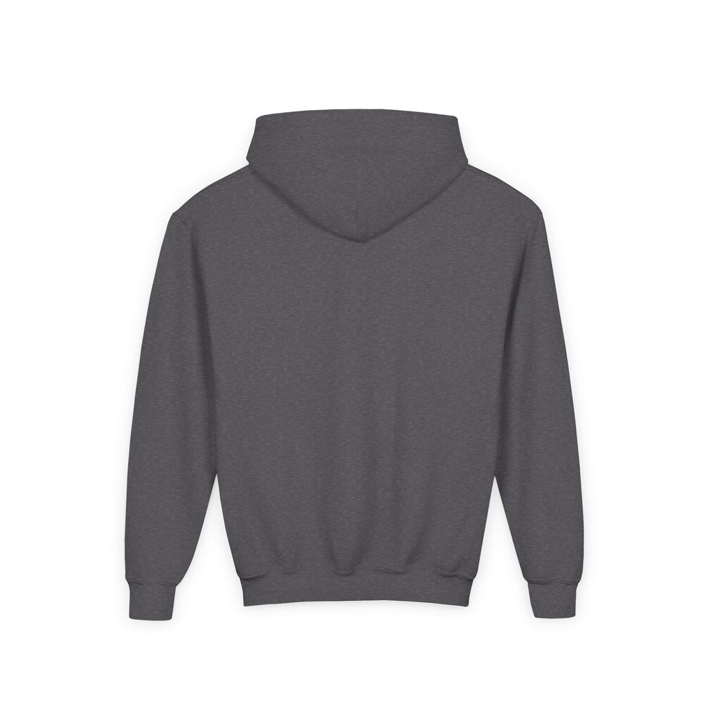 Youth Hoodie (most recommended)- small chest logo