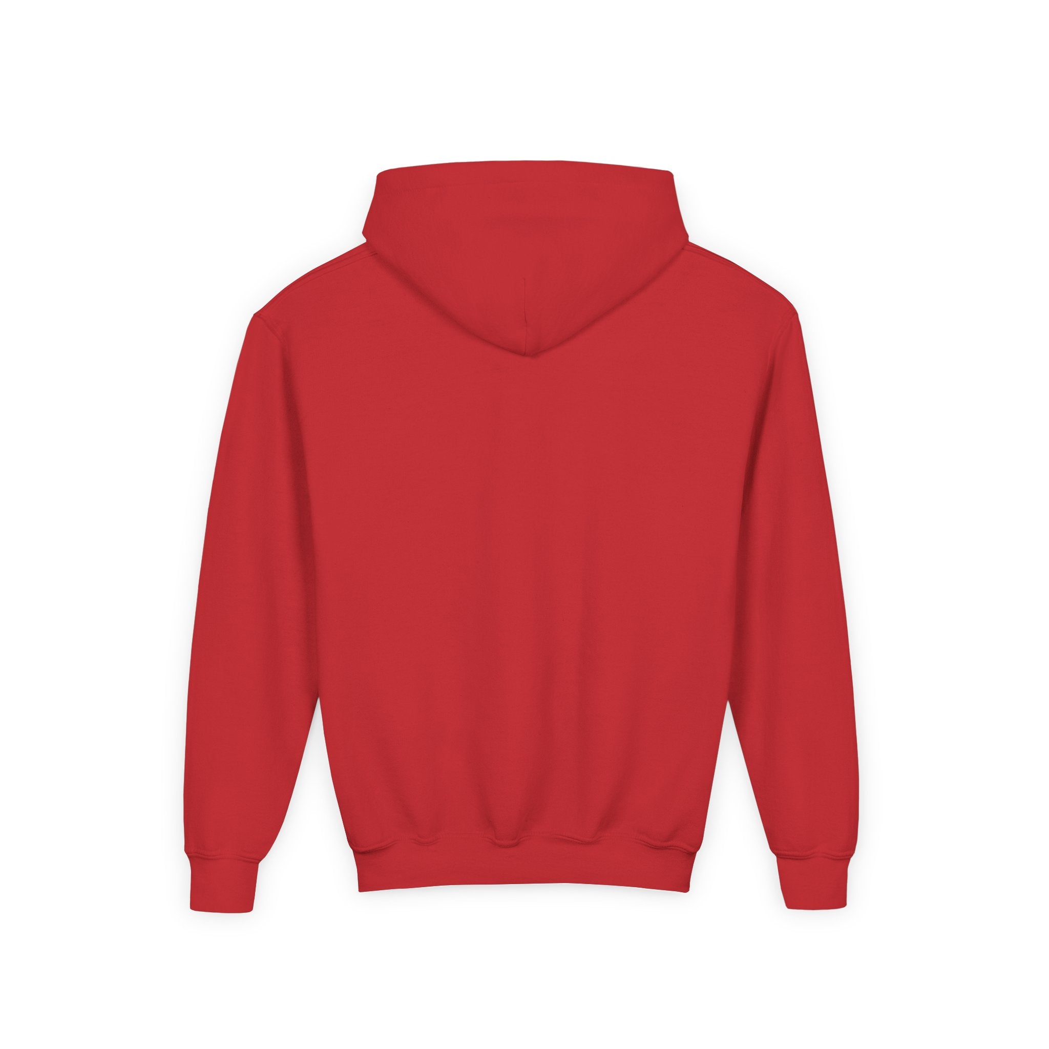Youth Hoodie (most recommended)- small chest logo