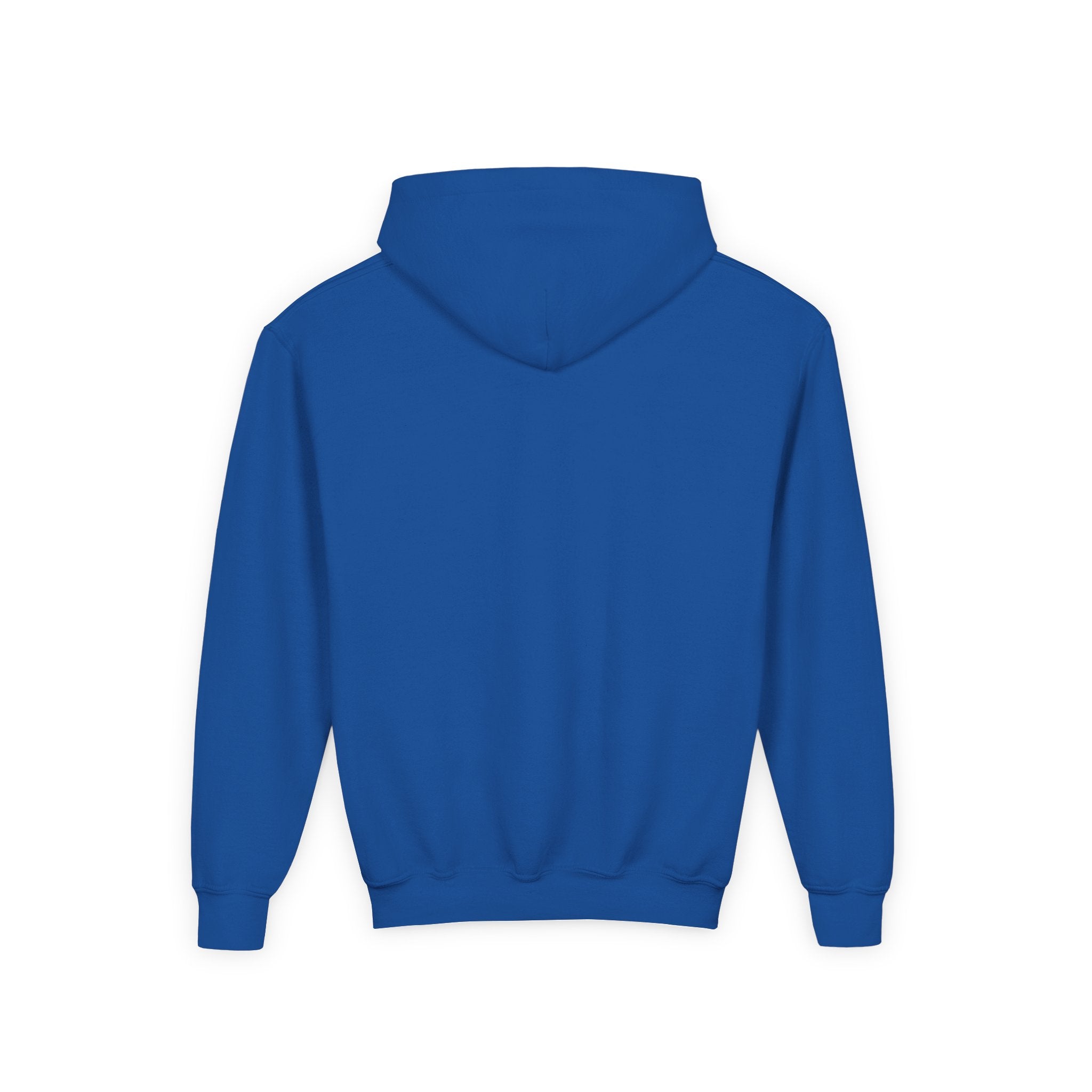 Youth Hoodie (most recommended)- small chest logo
