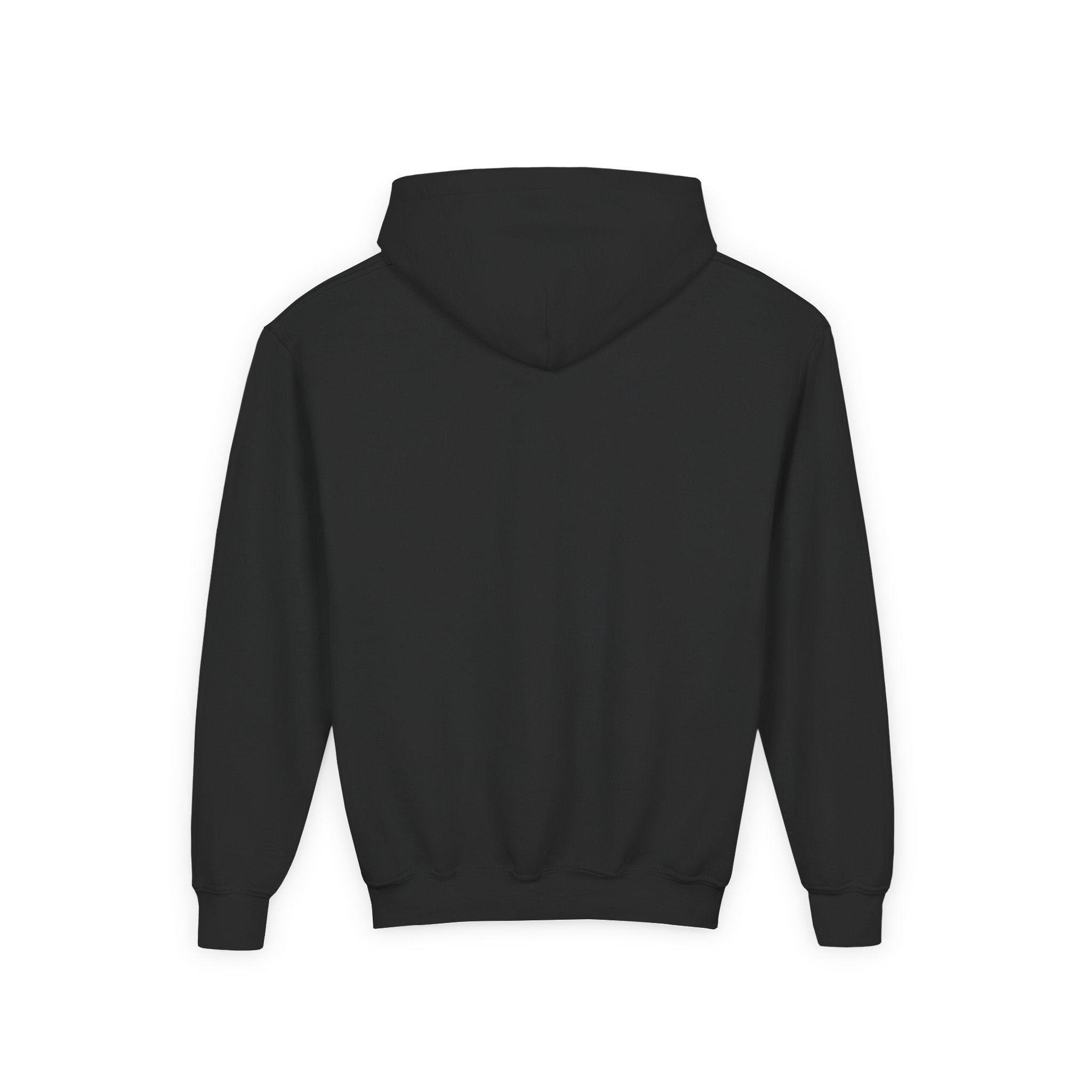 Youth Hoodie (most recommended)- small chest logo
