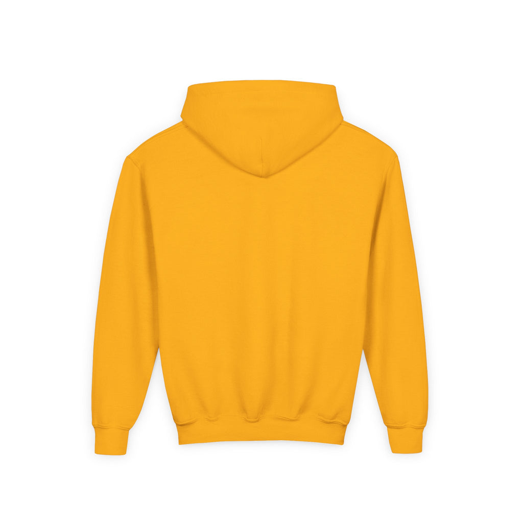 Youth Hoodie (most recommended)- small chest logo