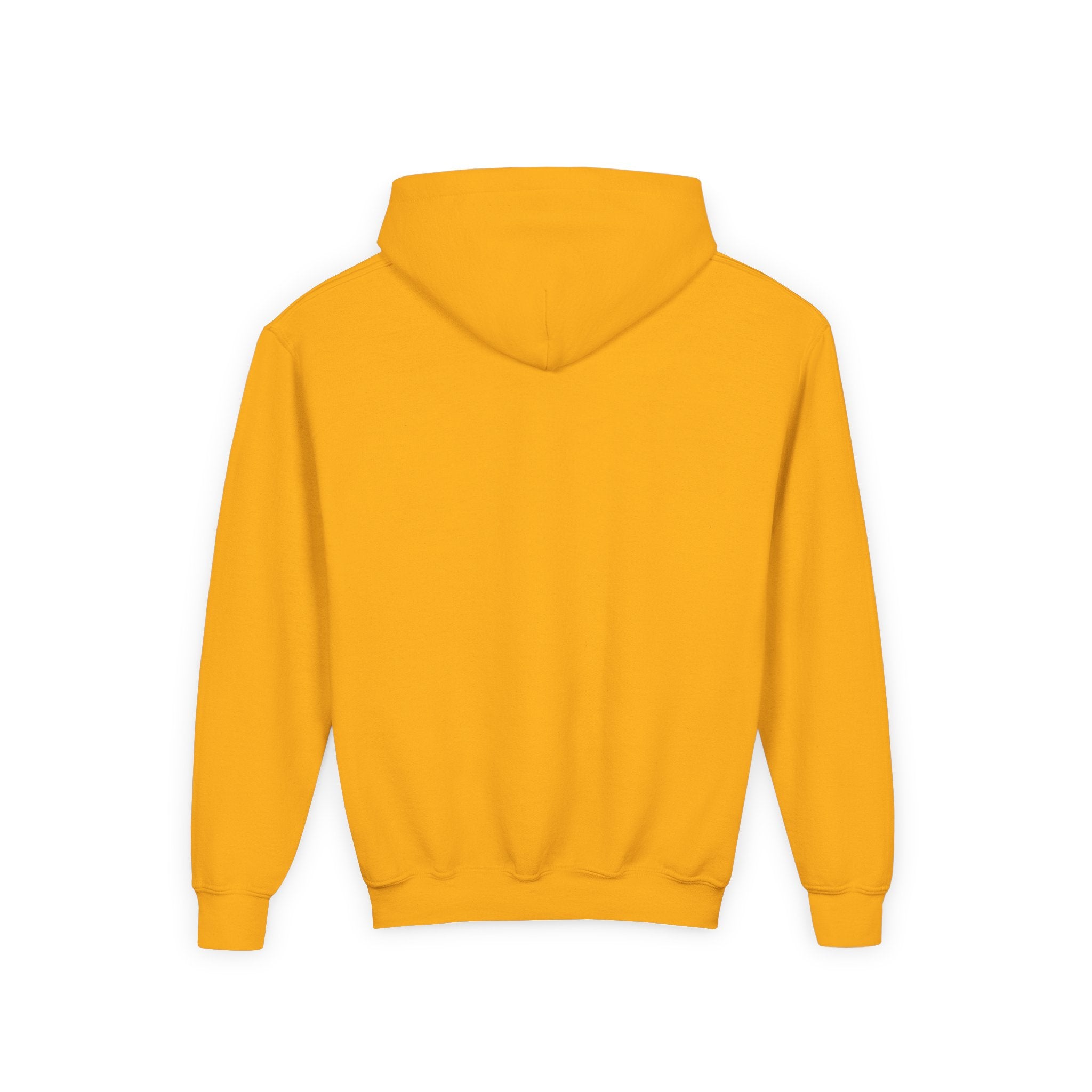 Youth Hoodie (most recommended)- small chest logo