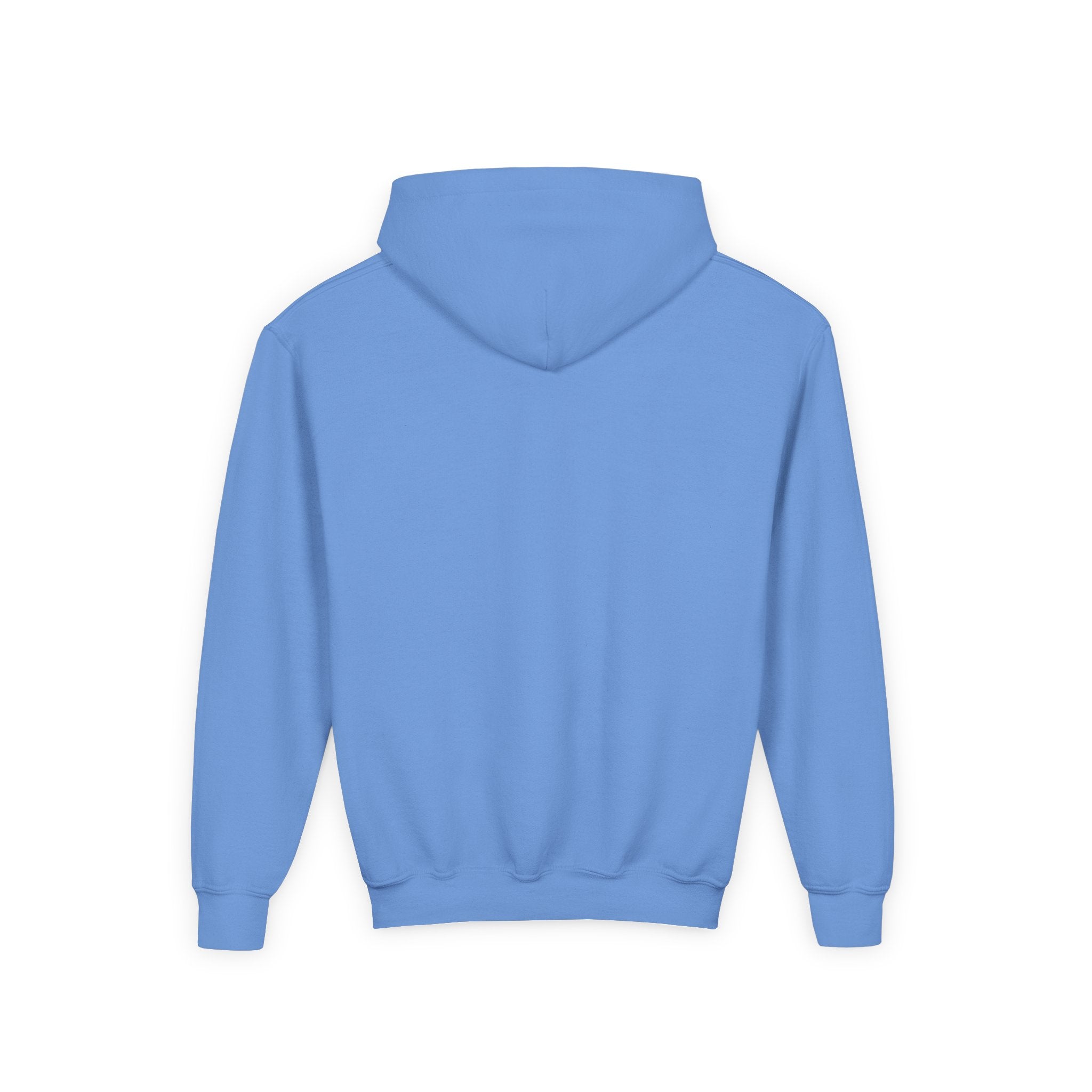 Youth Hoodie (most recommended)- small chest logo